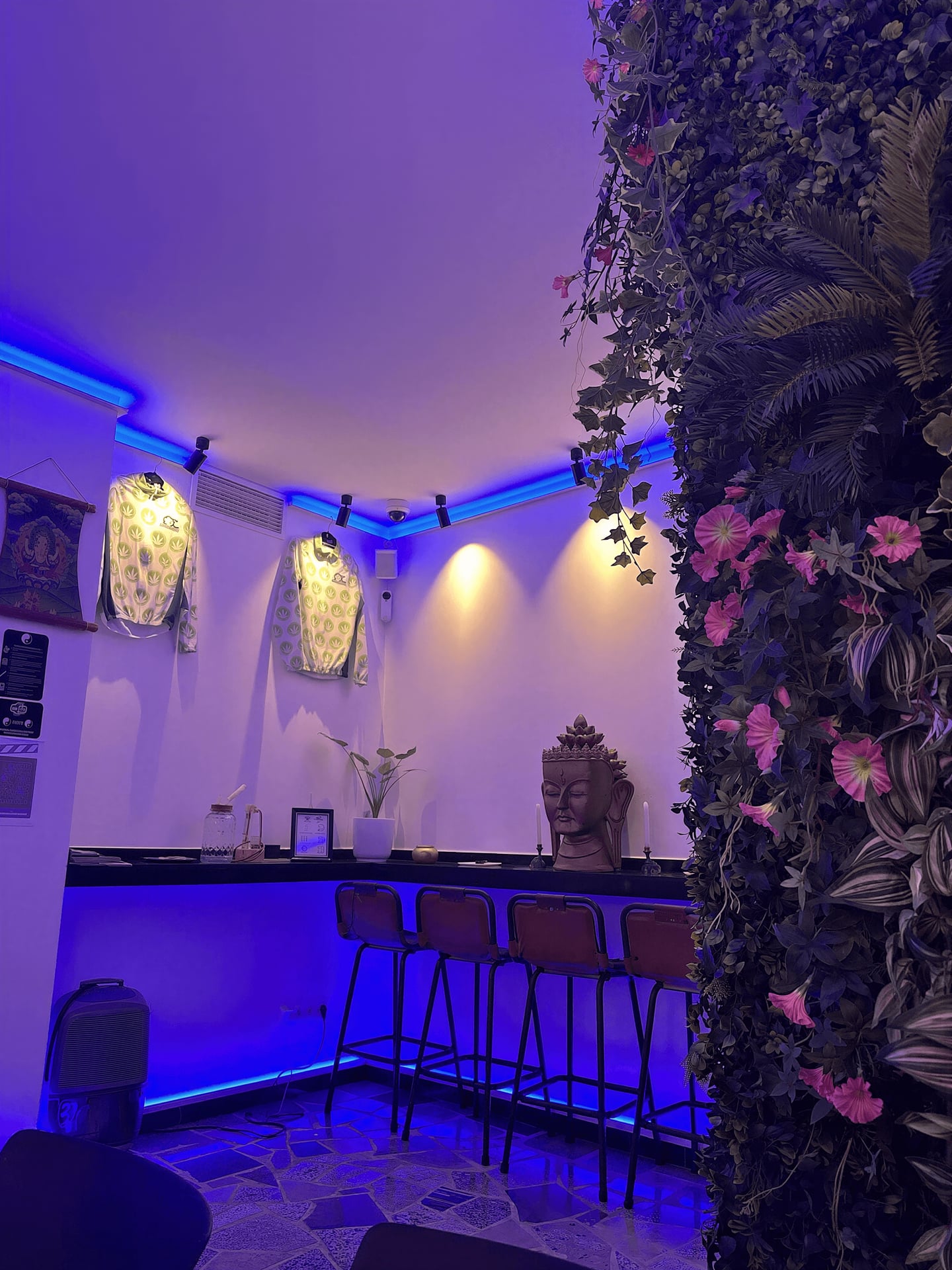YinYang Ibiza Weed Club