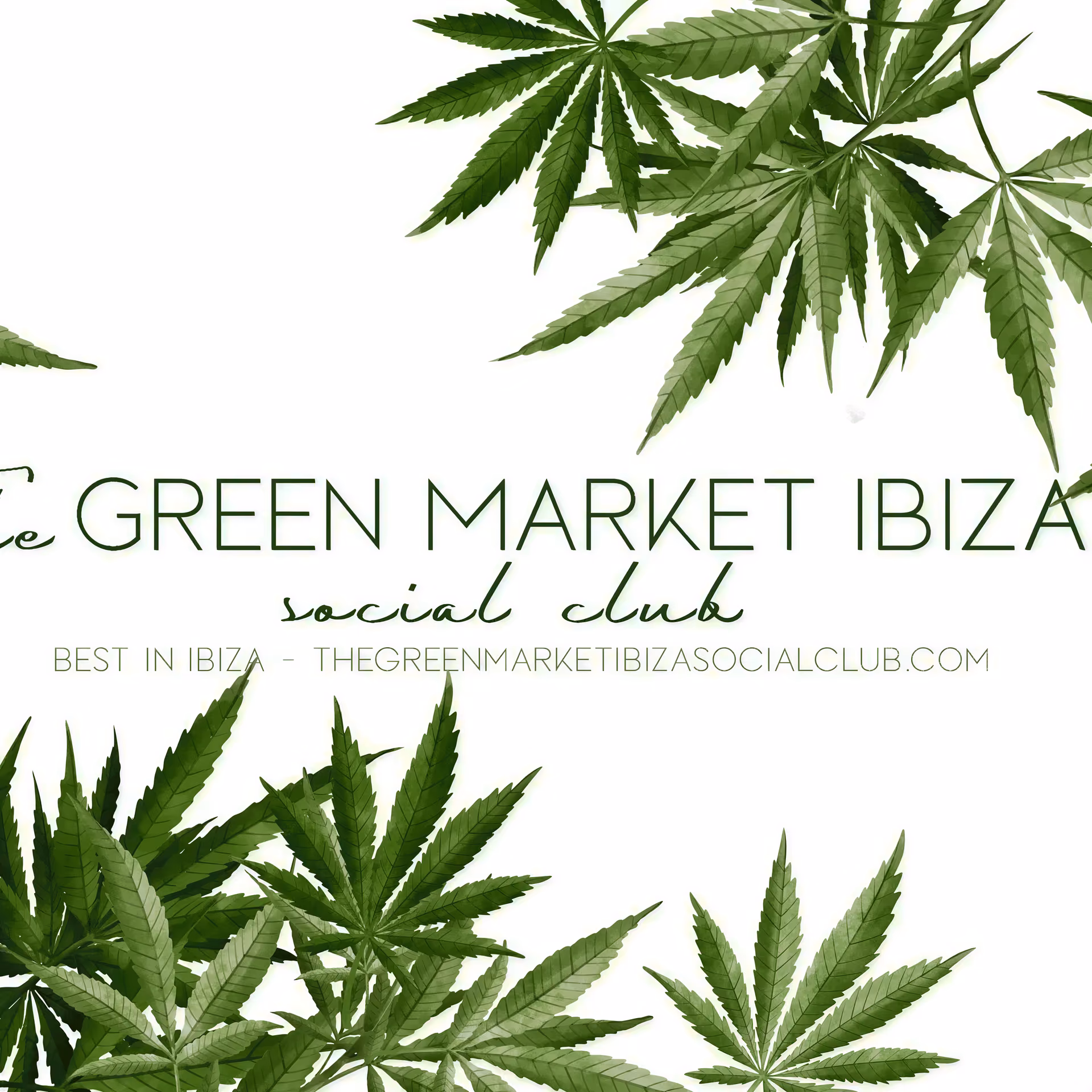 Cannabis Social Club The Green Market in Eivissa logo