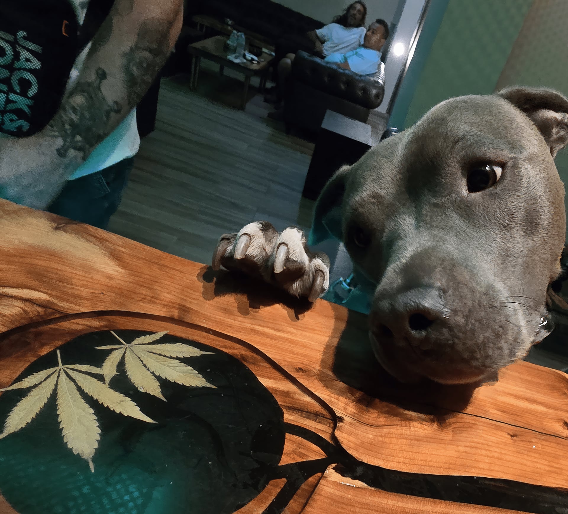 Green Lane