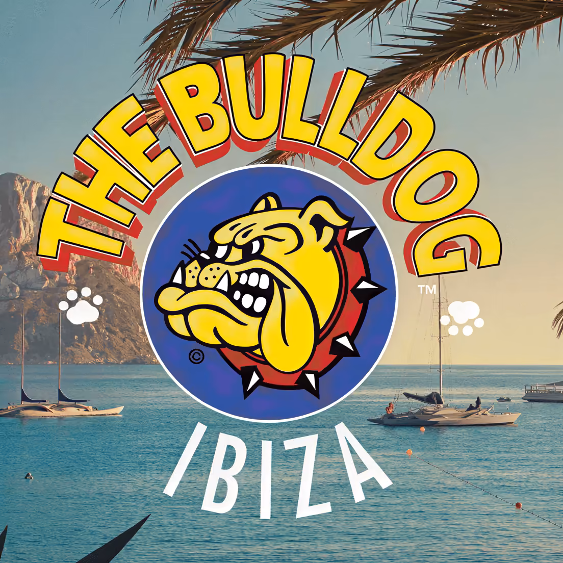 Cannabis Social Club The Bulldog logo